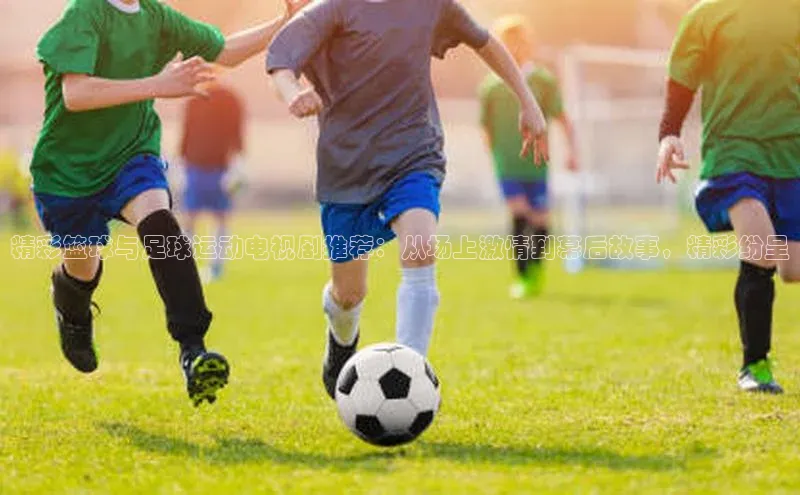 杏盛app官方下载最新版本更新内容小红书精彩篮球与足球运动电视剧推荐：从场上激情到幕后故事，精彩纷呈