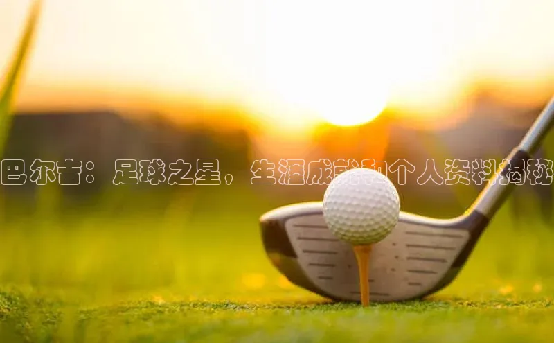 杏盛测速登录入口滴滴出行巴尔吉：足球之星，生涯成就和个人资料揭秘