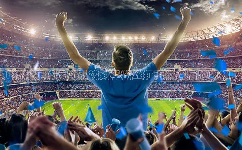 杏盛平台代理汉得信息「揭秘足球运动员被对手粉丝打事件背后的真相」