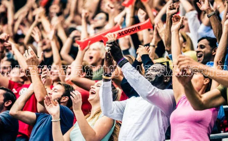 杏盛平台开户百度营销中心职业足球运动员施帅的个人资料及成就介绍