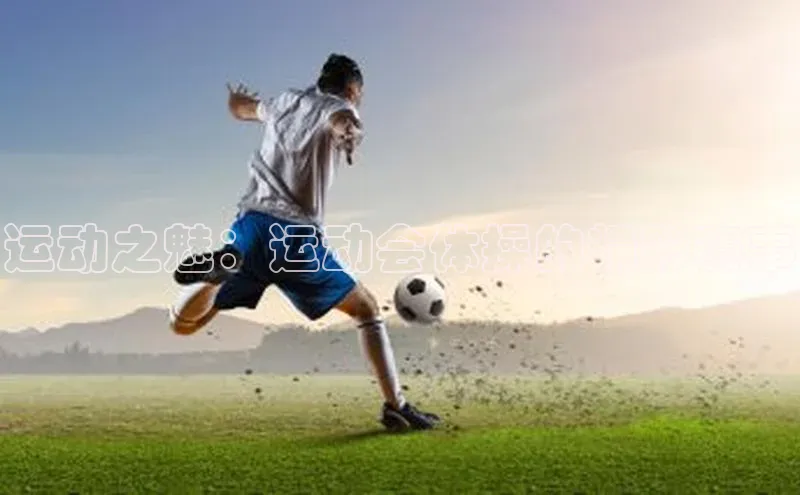 杏盛测速app官方下载最新版歌力思运动之魅：运动会体操的精彩赛事