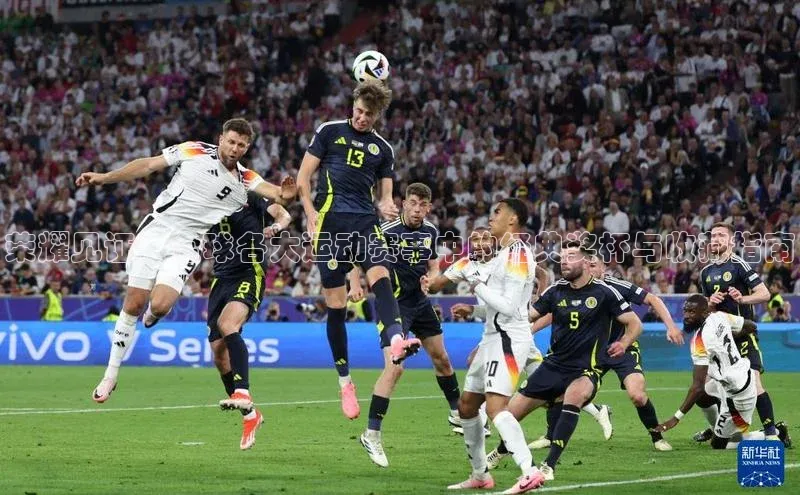 荣耀见证：全球各大运动赛事中的经典奖杯与收藏指南