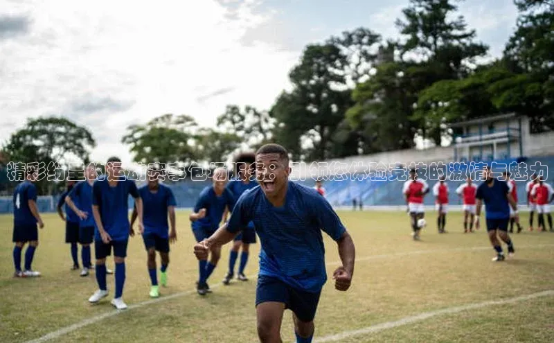 精彩纷呈的运动赛事包场服务：引领您体验竞技的激情与魅力