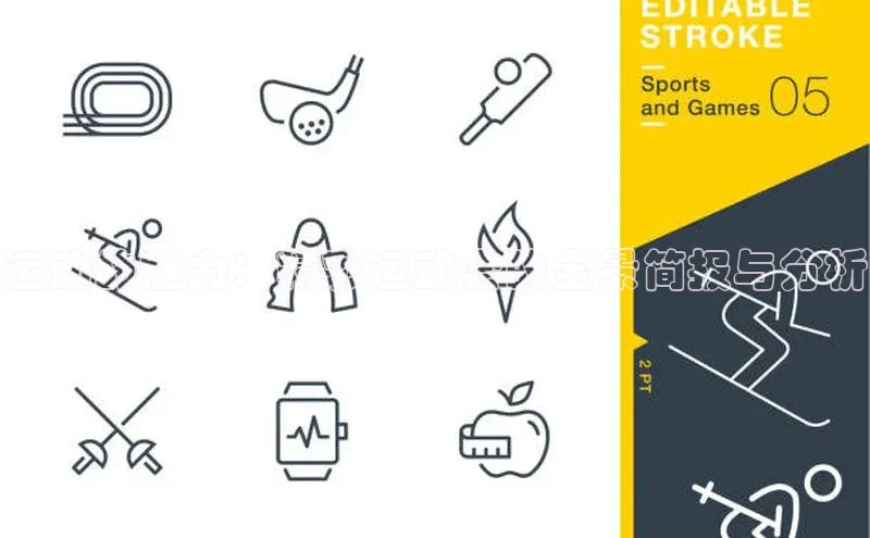 运动的魅力：精彩运动会的全景简报与分析
