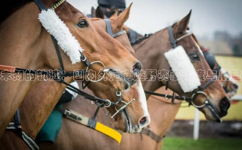 未知的轨迹：国内外定向越野赛事深度与展望
