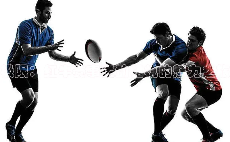 极限：红牛赛事运动相机的魅力之旅