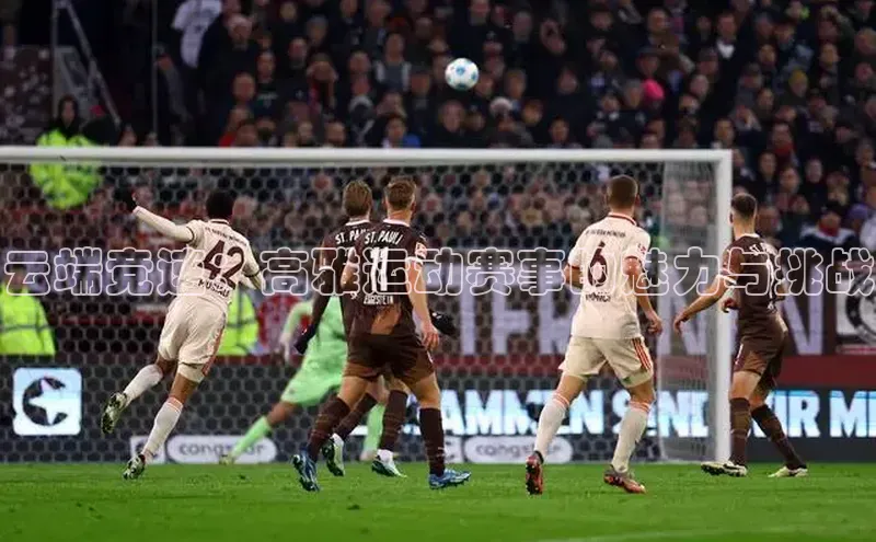 云端竞速：高雅运动赛事的魅力与挑战