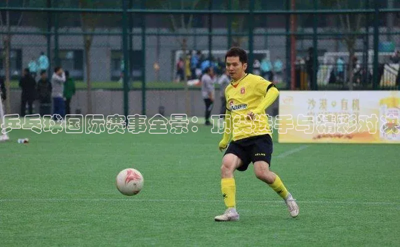 乒乓球国际赛事全景：顶尖选手与精彩对决