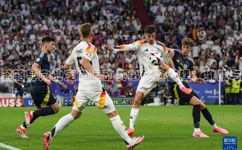 策略导向的定向运动赛事风险管理：挑战与