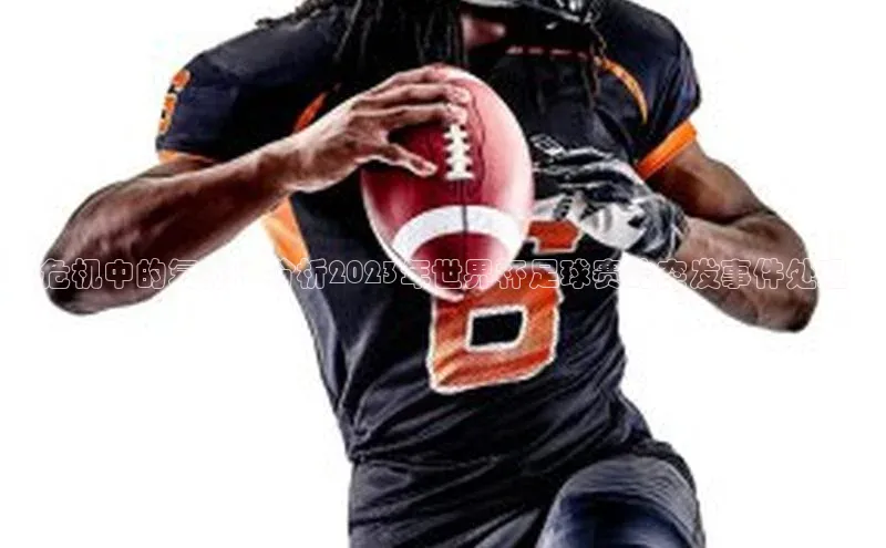 危机中的复苏：分析2023年世界杯足球赛的突发事件处理