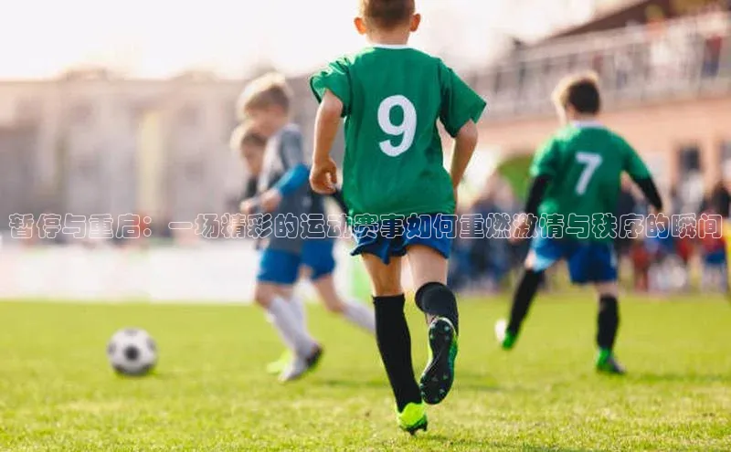 暂停与重启：一场精彩的运动赛事如何重燃激情与秩序的瞬间