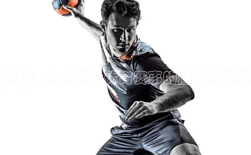 未知：小众职业体育赛事的魅力与挑战