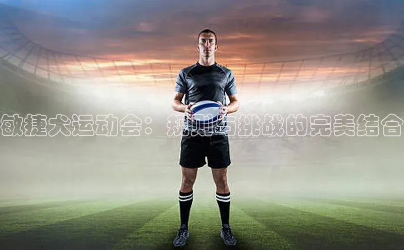 杏盛注册登录官网