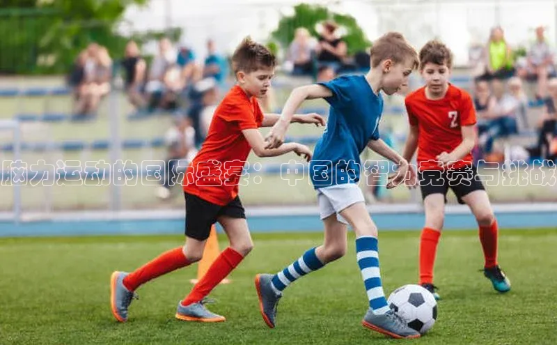 脑力运动的国际盛宴：中国的智力竞赛与挑战