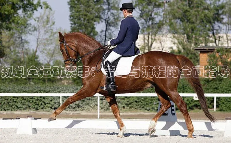 杏盛注册登录官网